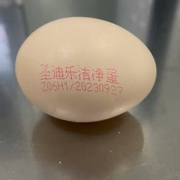 圣迪乐无抗保洁蛋