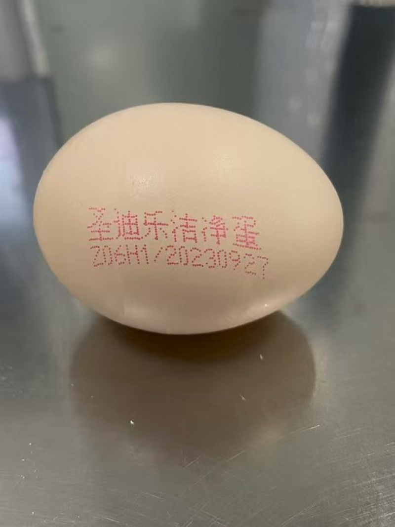 圣迪乐无抗保洁蛋