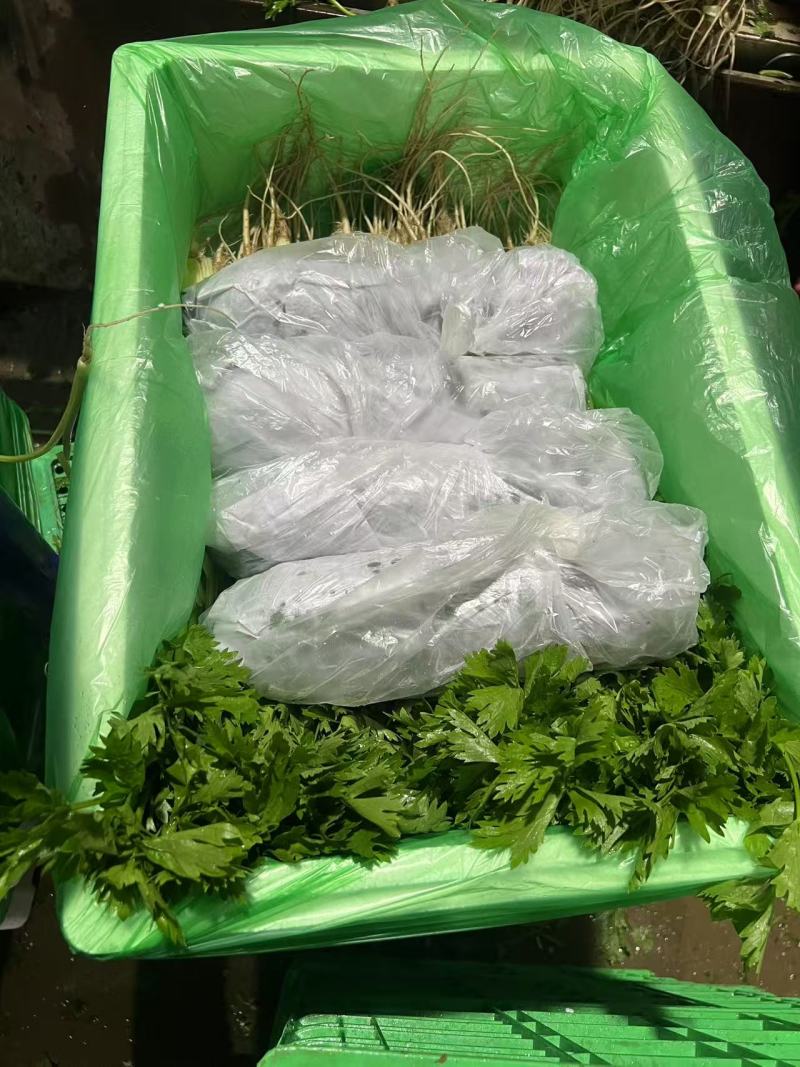 香芹