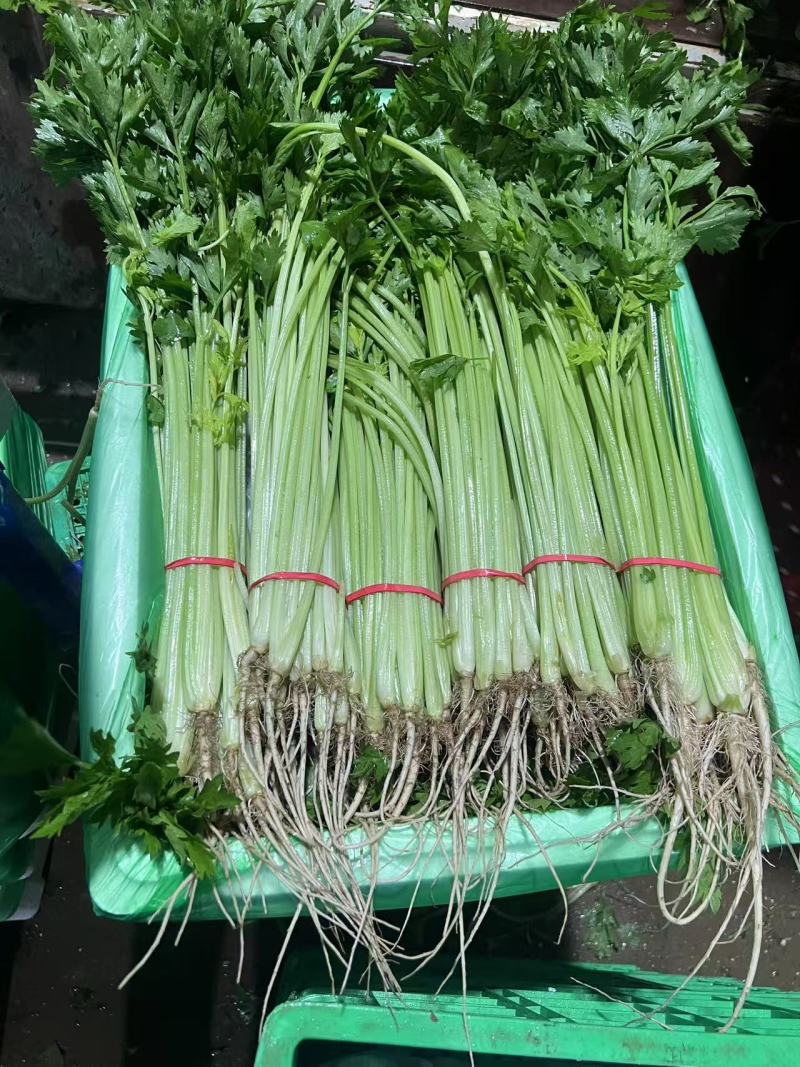 香芹