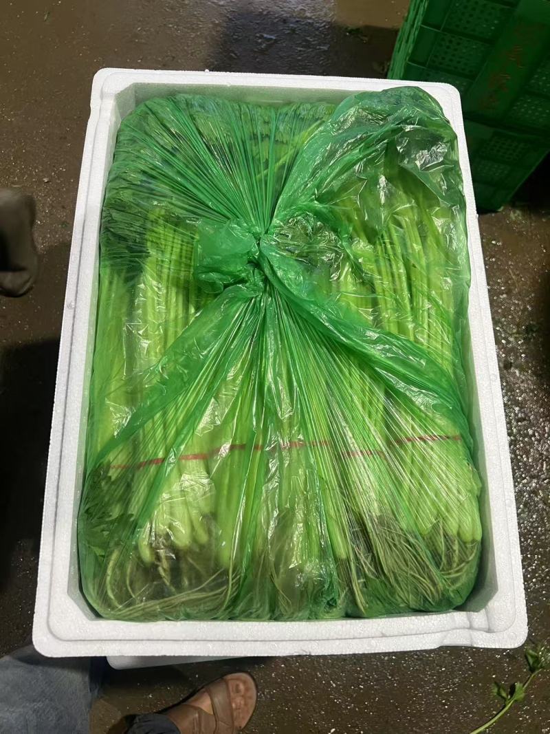 香芹