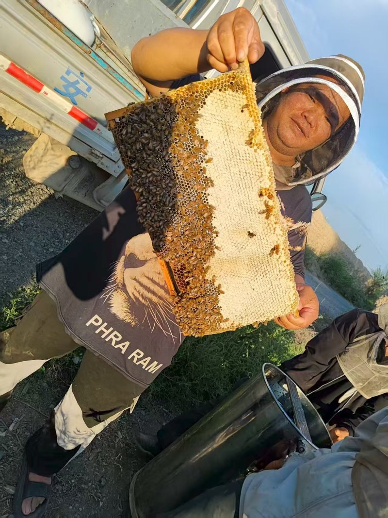 蜂蜜