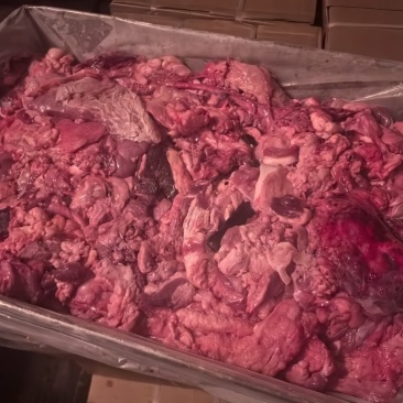喂狗牛肉边角
