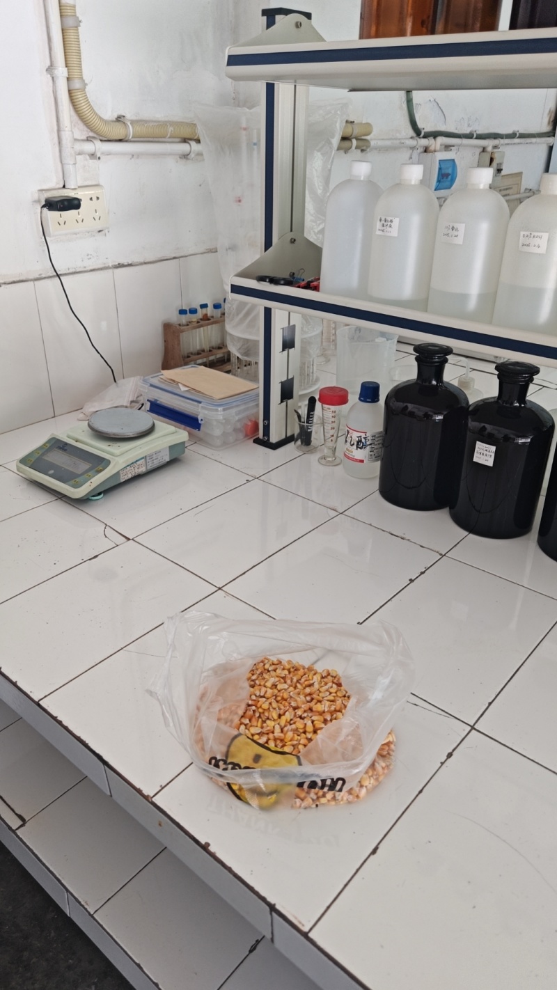 新疆玉米，高品质，量大，需要联系***********