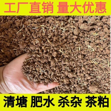 新货茶籽粉天然洗发粉纯茶枯粉茶麸茶籽饼菇渣茶油仔饼洗头洗