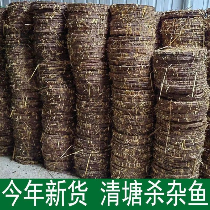 新货茶籽粉天然洗发粉纯茶枯粉茶麸茶籽饼菇渣茶油仔饼洗头洗