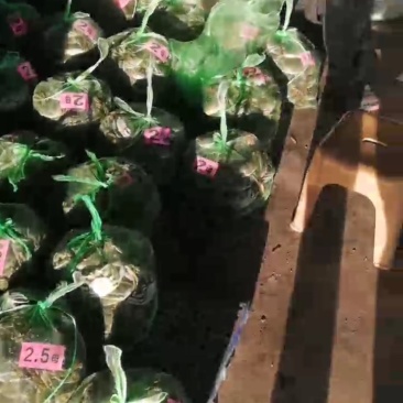 优质螃蟹大闸蟹