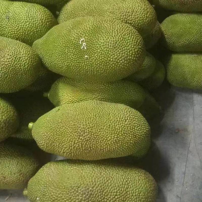海南榴莲蜜全国代发