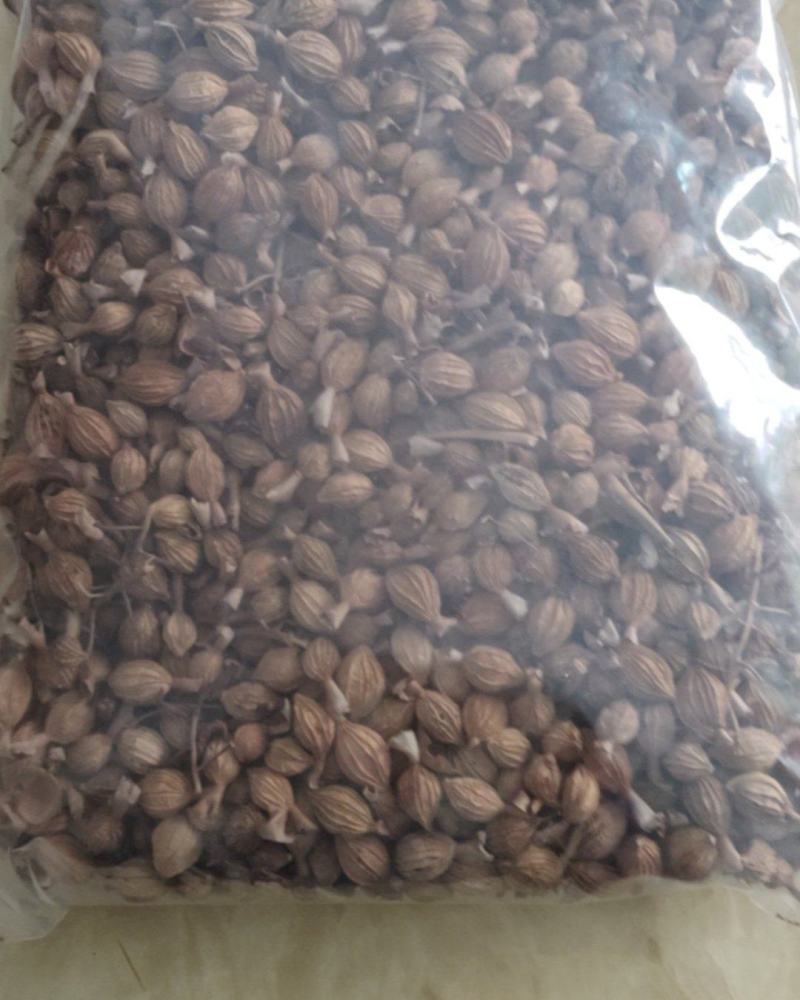 香砂