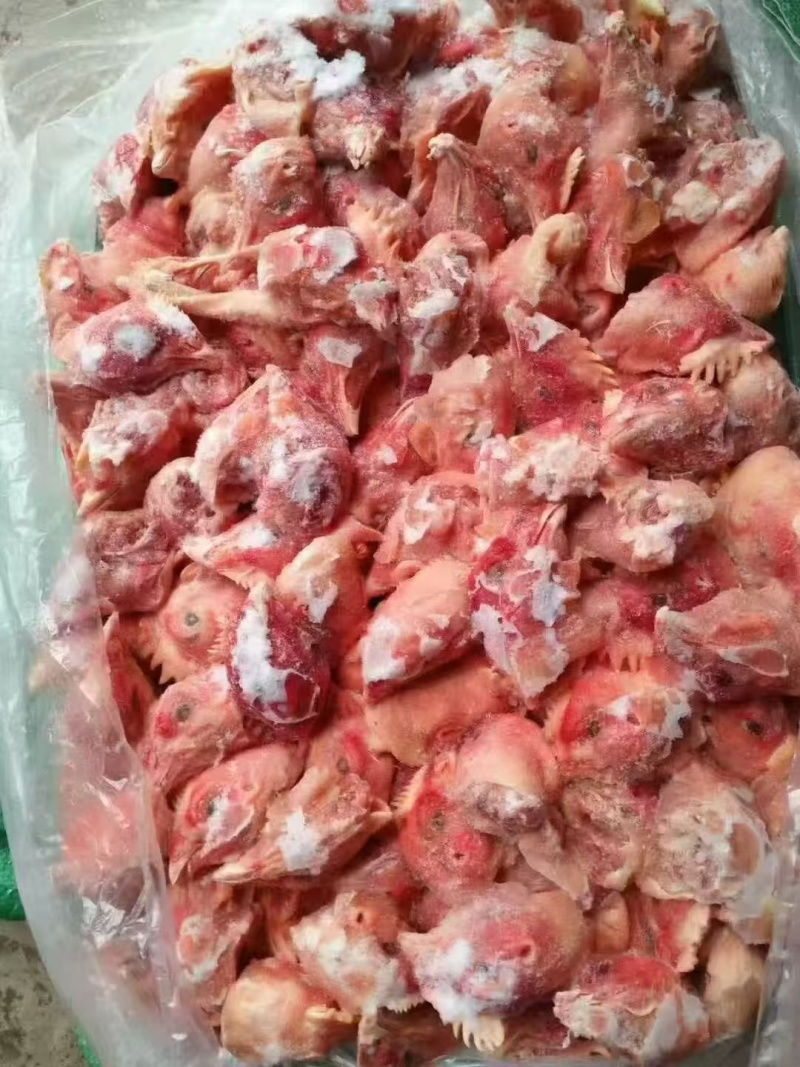 肉鸡头公鸡头老母鸡头板冻单冻规格齐全