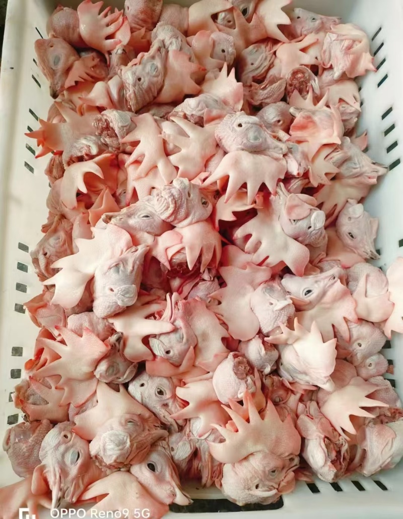 肉鸡头公鸡头老母鸡头板冻单冻规格齐全