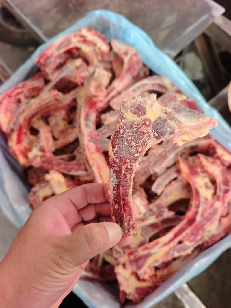 牛脊骨
