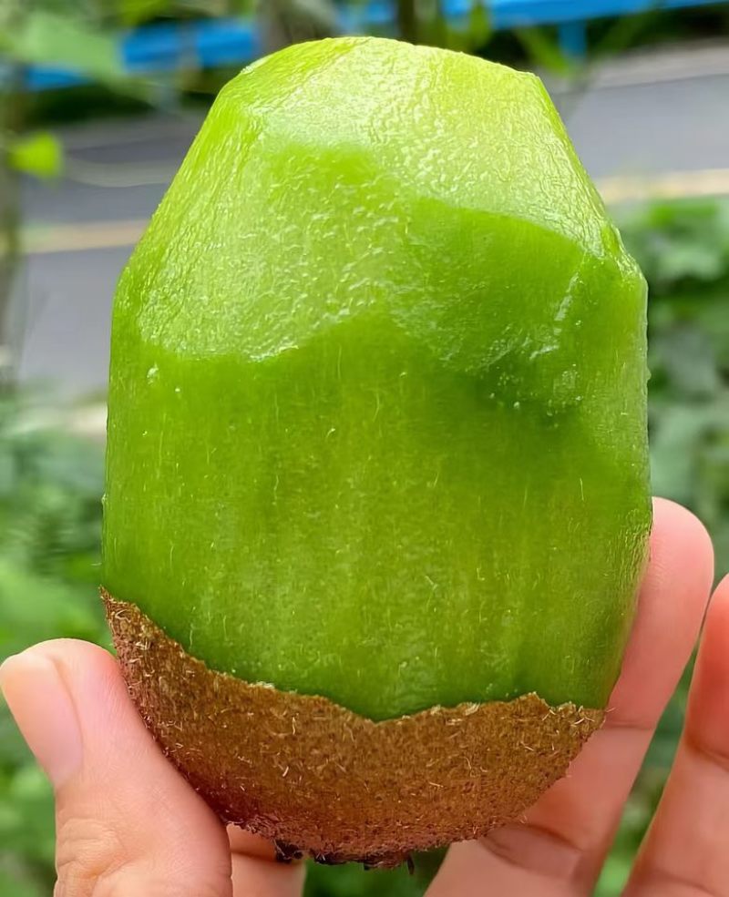 陕西猕猴桃，一件代发，对接各平台电商，直接电话联系。