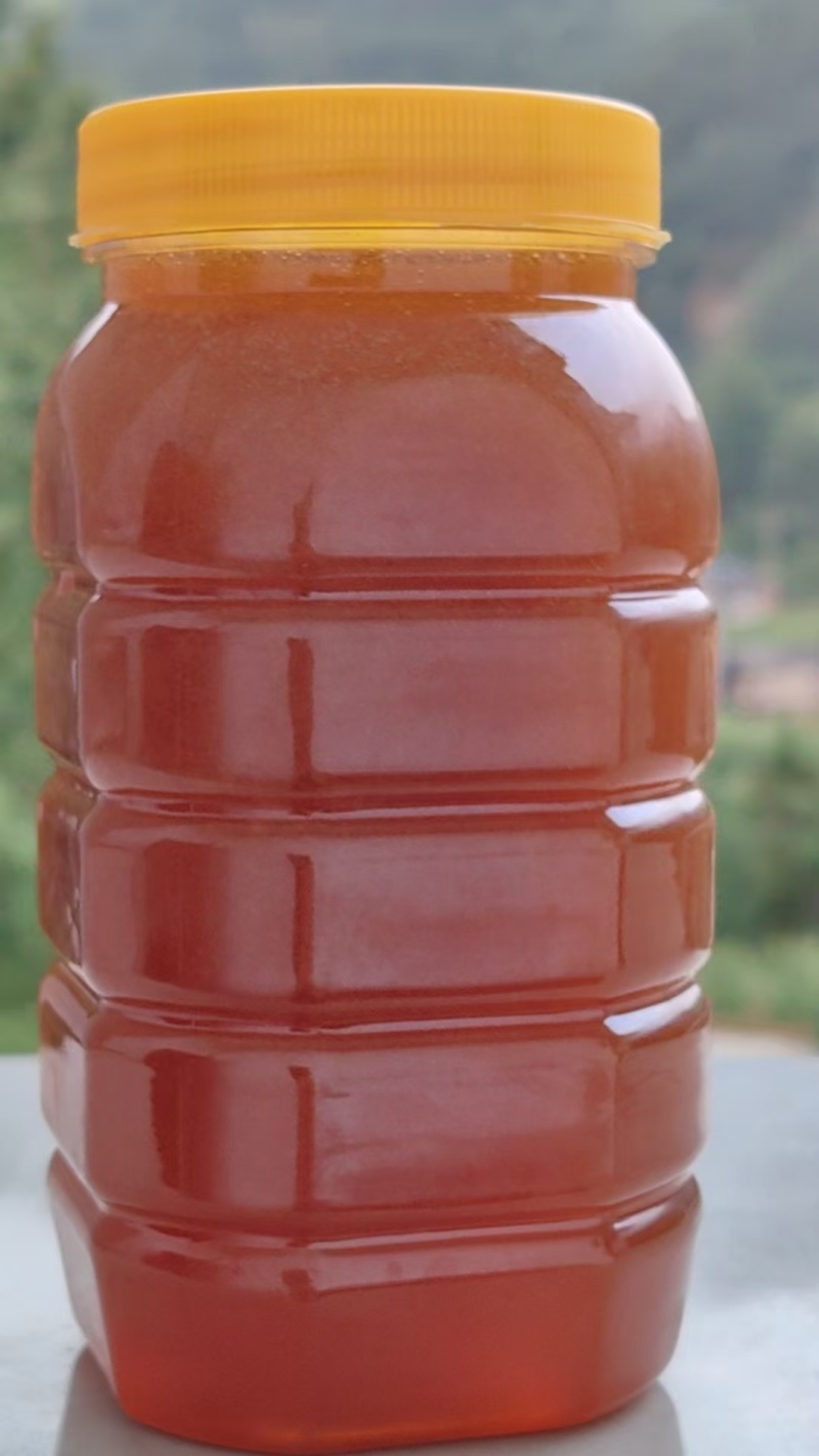 光雾山自家土蜂蜜，******，甜到心坎里🍯✨