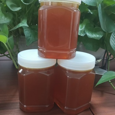 光雾山自家土蜂蜜，******，甜到心坎里🍯✨