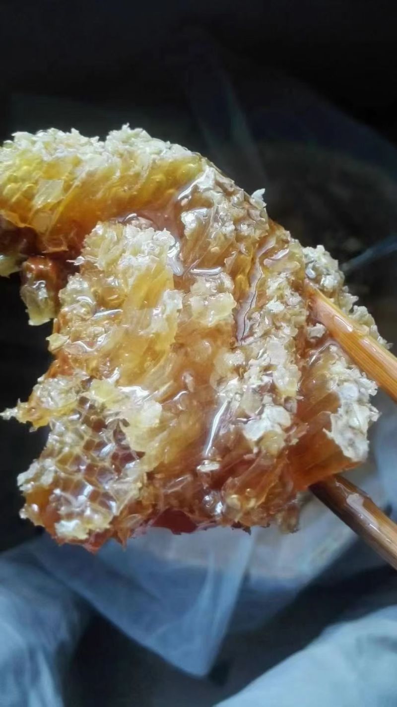 光雾山自家土蜂蜜，******，甜到心坎里🍯✨