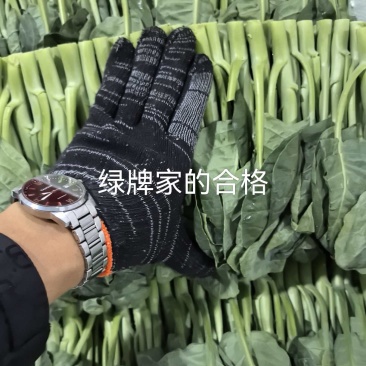 中花芥兰