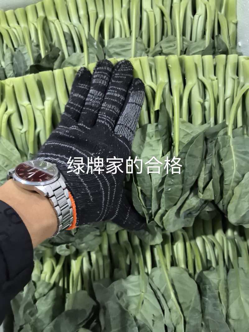 中花芥兰