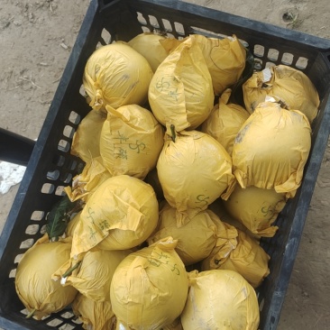 花翠冠