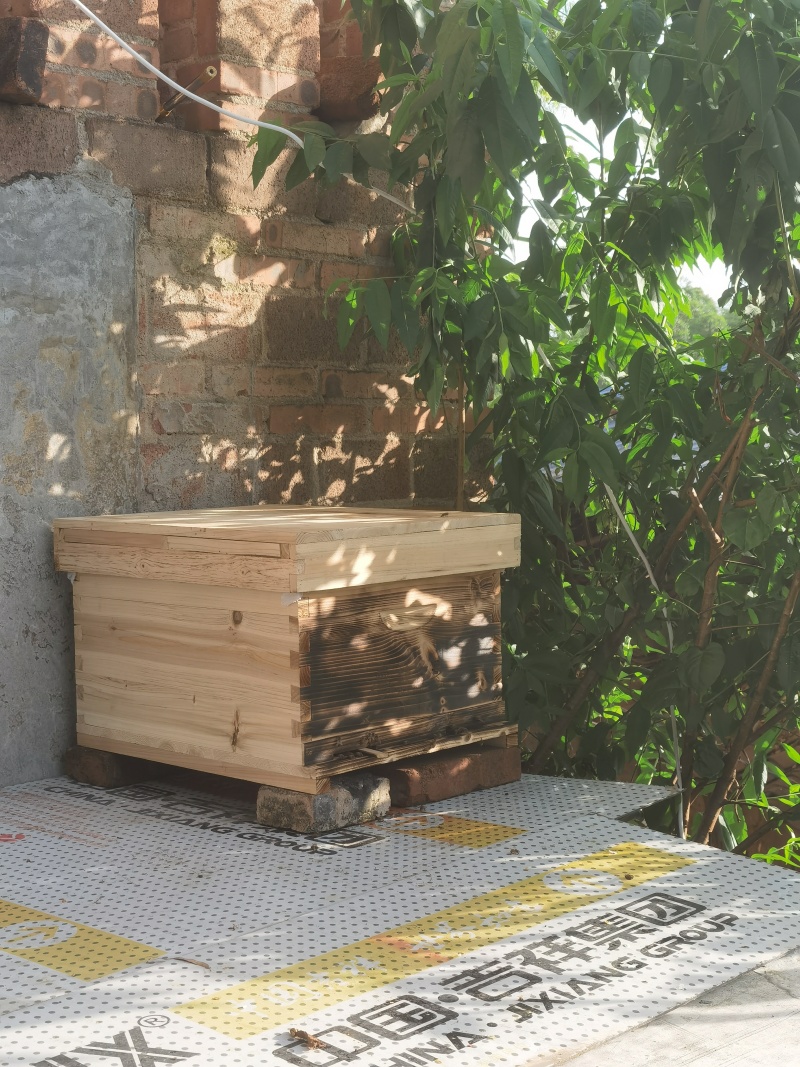 中锋封盖百花蜂蜜