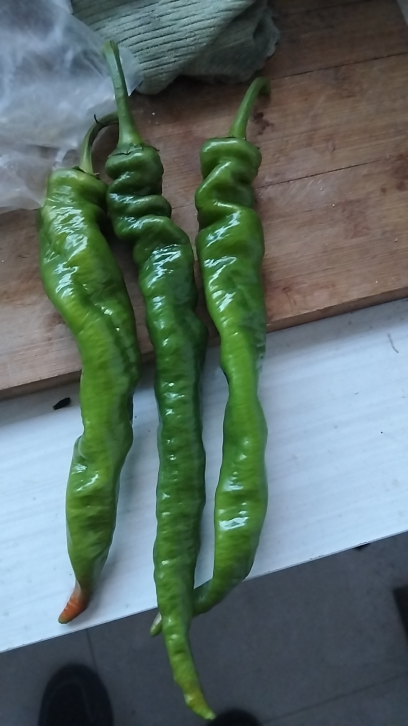 辣椒