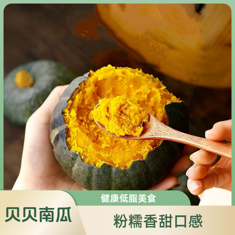 贝贝南瓜