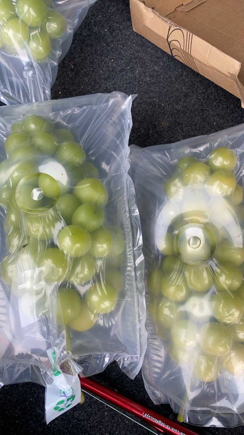 阳光玫瑰
