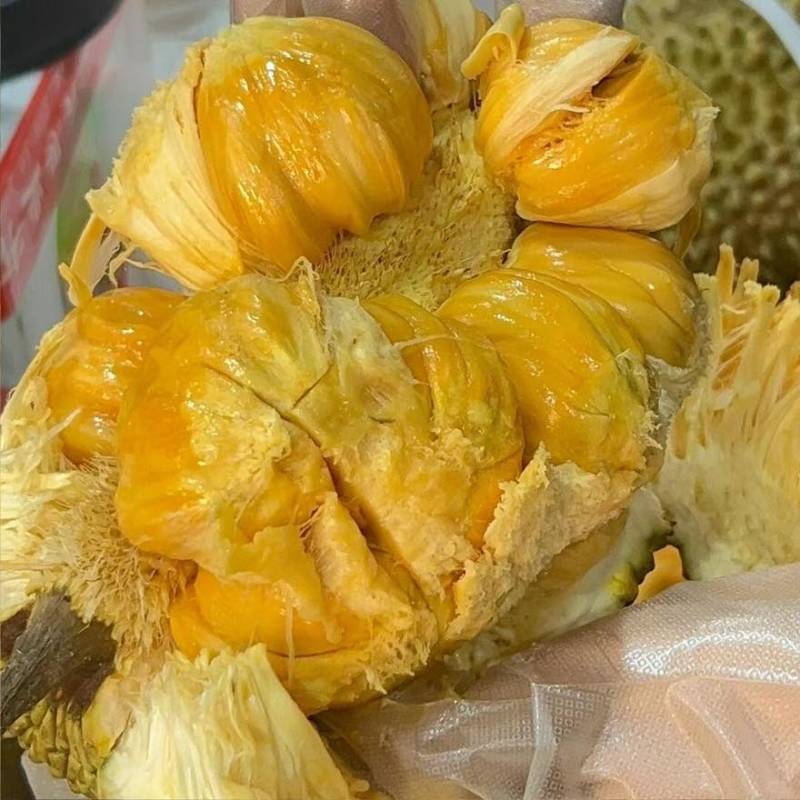 榴莲味的菠萝蜜
