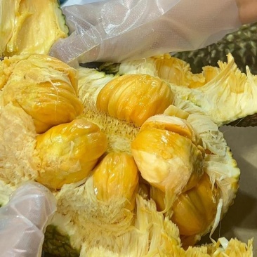 榴莲味的菠萝蜜