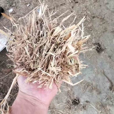 精品揉丝麦秸揉丝稻草二次除尘小套袋、五道绳牛草干草料