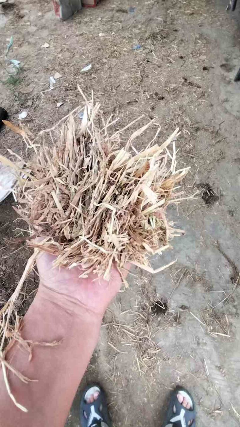 精品揉丝麦秸揉丝稻草二次除尘小套袋、五道绳牛草干草料