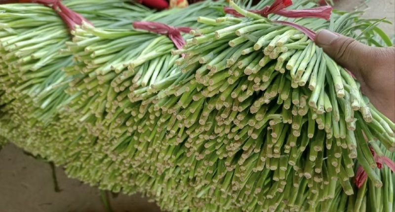韭菜