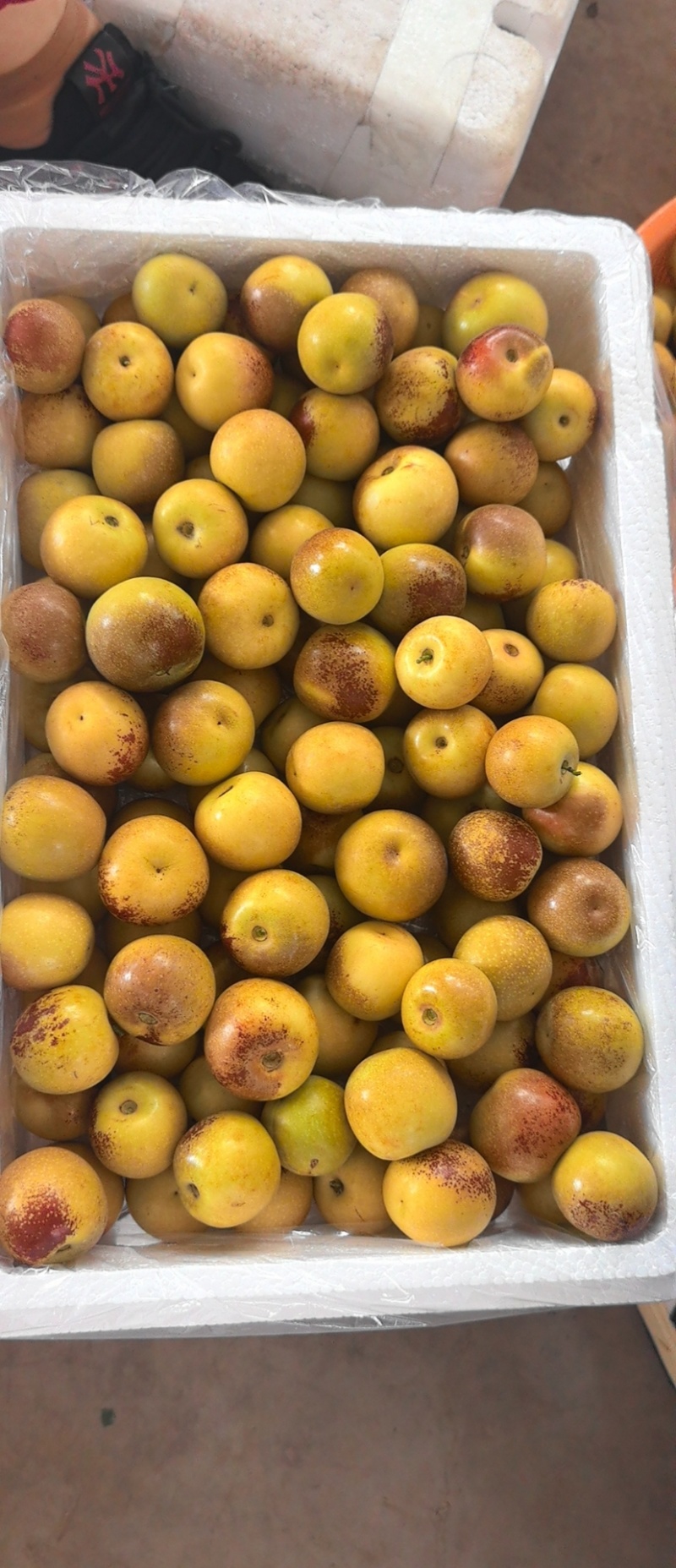 大荔冬枣