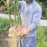 贵州二黄姜