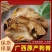 狗脊片