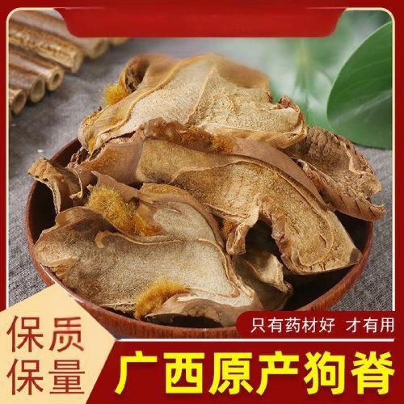 狗脊片