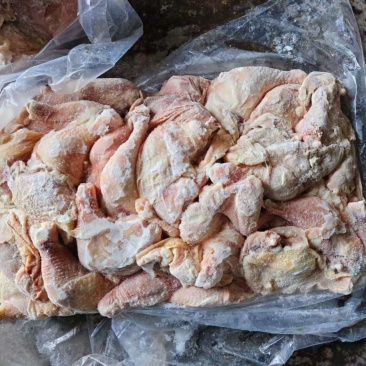 存货博发肉鸡二级排腿二十吨