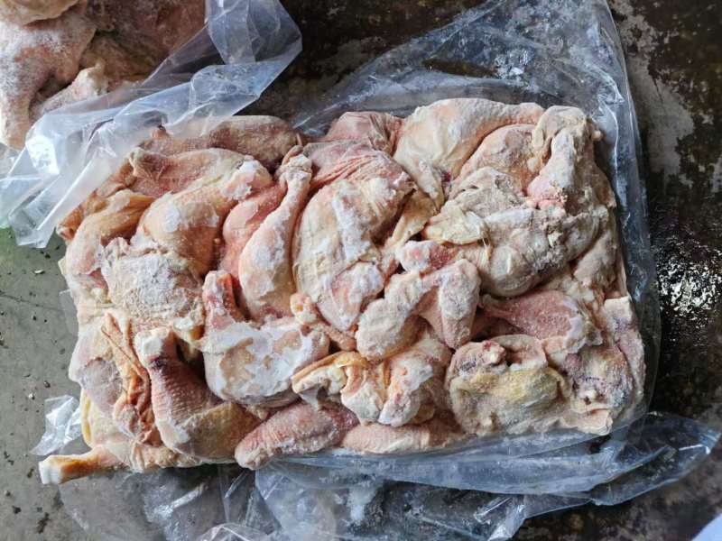 存货博发肉鸡二级排腿二十吨