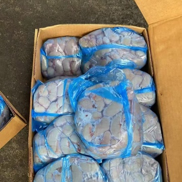 进口鸡腰6吨