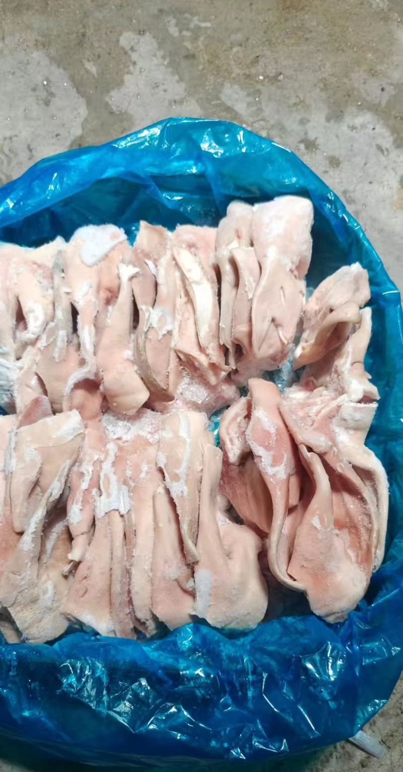 厂家二级肥猪猪耳30片左右的3吨