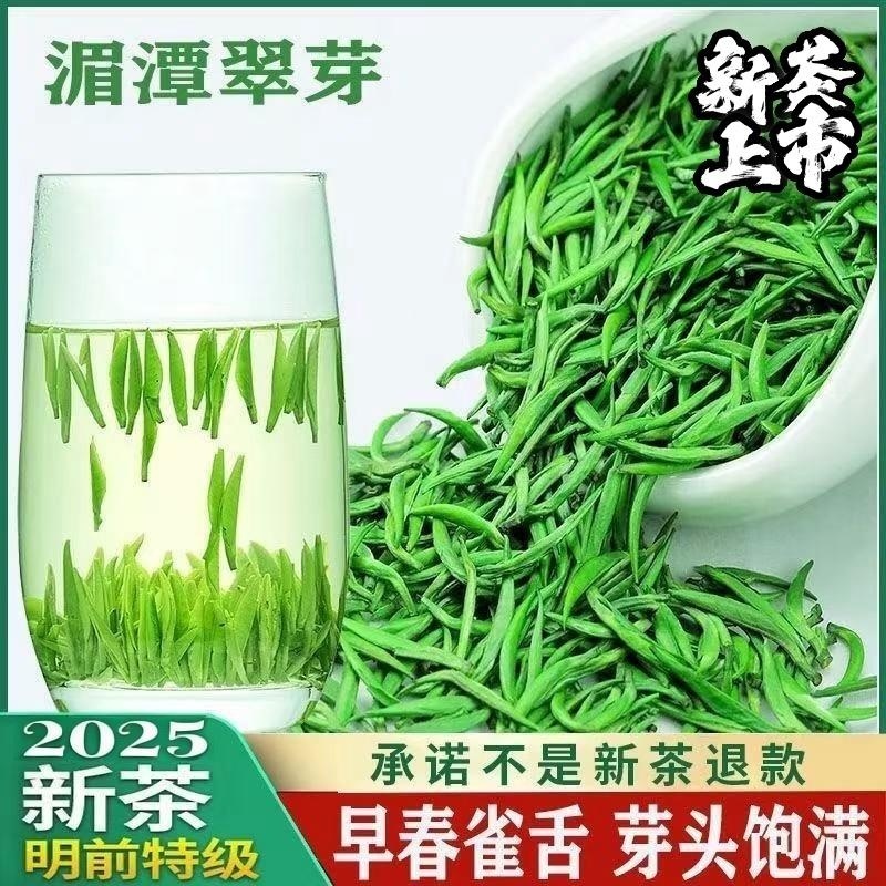 雀舌高山绿茶