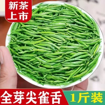 雀舌高山绿茶