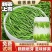 雀舌高山绿茶