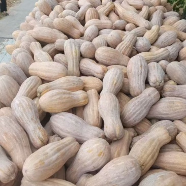 南瓜