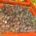 三色葡萄🍇柳树泉核心产区