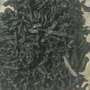 纯东北水蛭，吊干