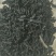 纯东北水蛭，吊干
