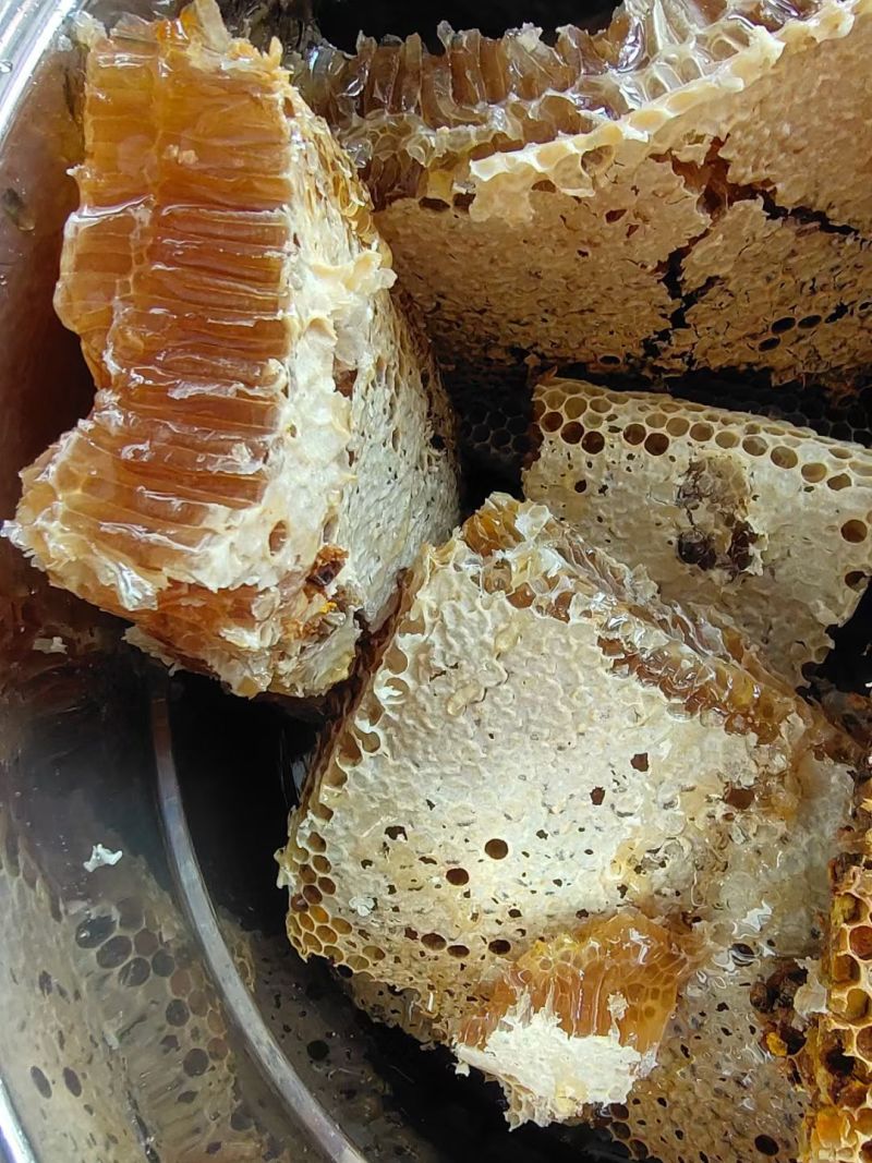 大山里***野生蜂蜜