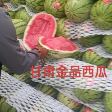甘肃西瓜