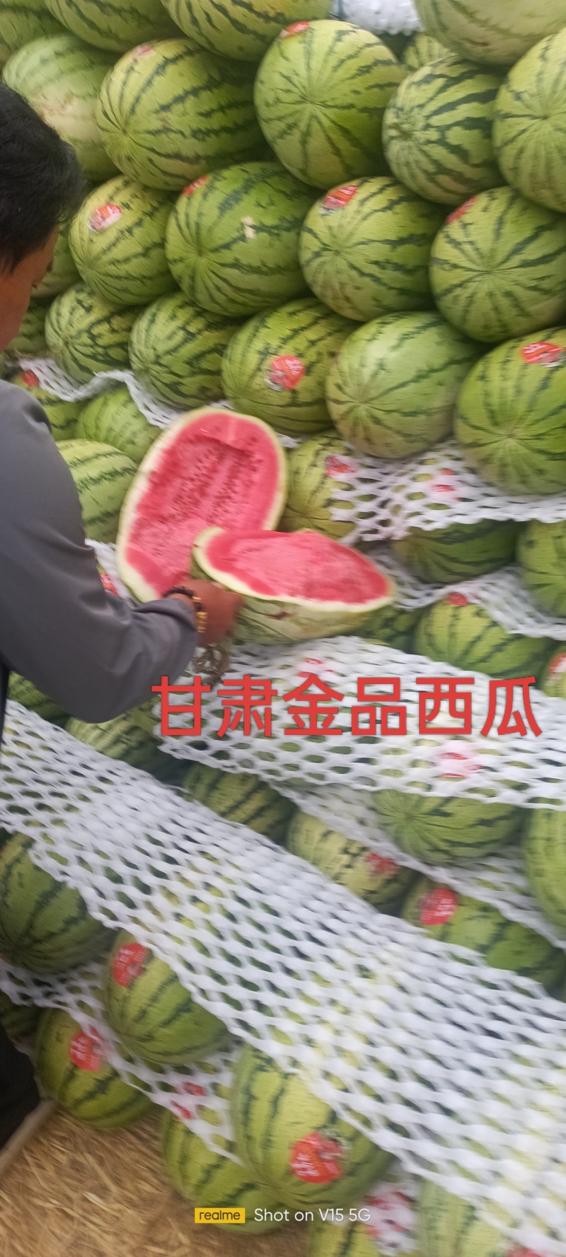 甘肃西瓜
